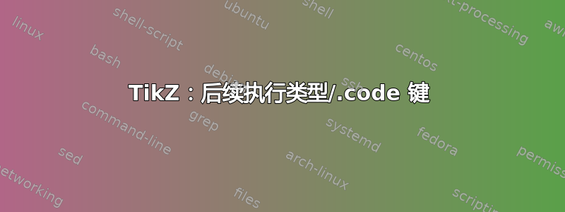 TikZ：后续执行类型/.code 键