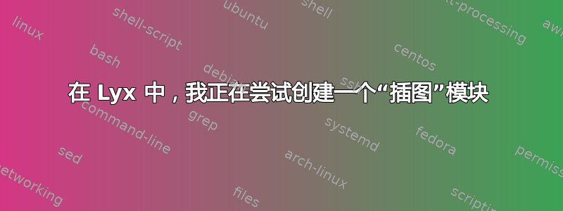 在 Lyx 中，我正在尝试创建一个“插图”模块