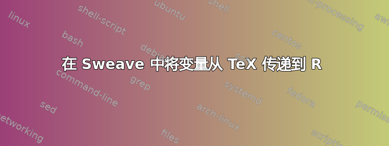 在 Sweave 中将变量从 TeX 传递到 R