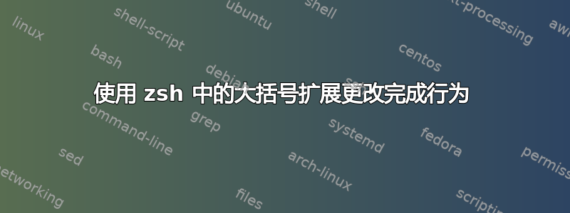 使用 zsh 中的大括号扩展更改完成行为