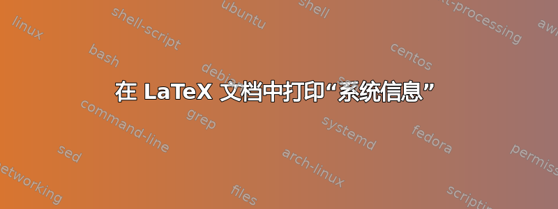 在 LaTeX 文档中打印“系统信息”