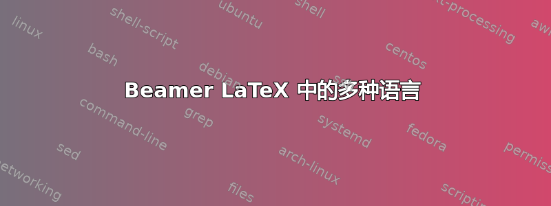 Beamer LaTeX 中的多种语言