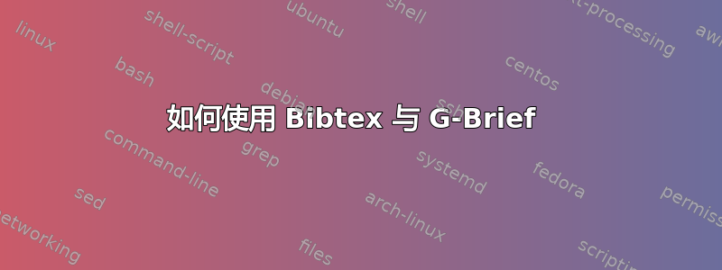 如何使用 Bibtex 与 G-Brief 