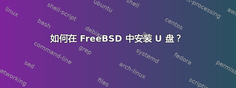 如何在 FreeBSD 中安装 U 盘？