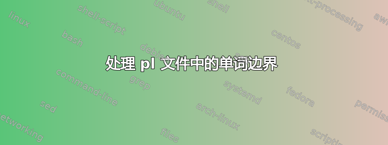 处理 pl 文件中的单词边界