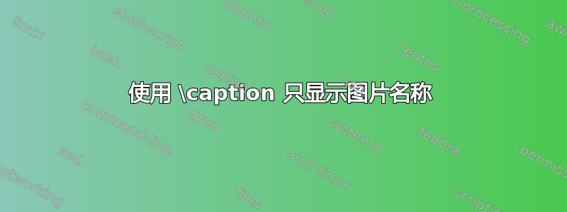 使用 \caption 只显示图片名称