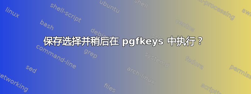 保存选择并稍后在 pgfkeys 中执行？