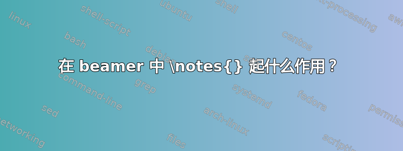 在 beamer 中 \notes{} 起什么作用？