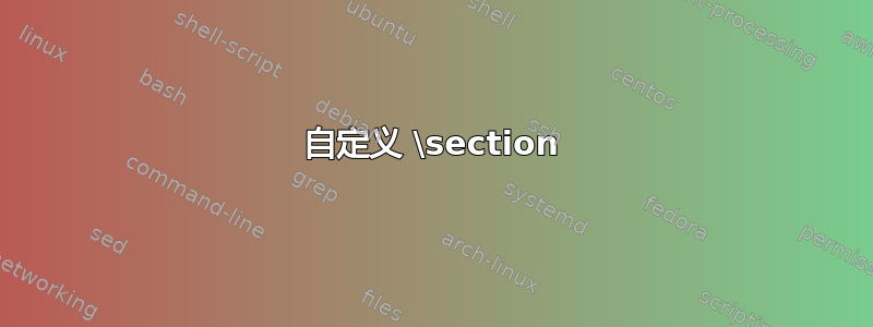 自定义 \section