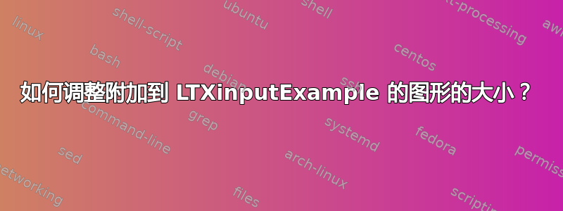 如何调整附加到 LTXinputExample 的图形的大小？