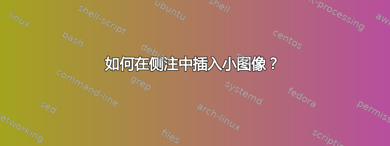 如何在侧注中插入小图像？