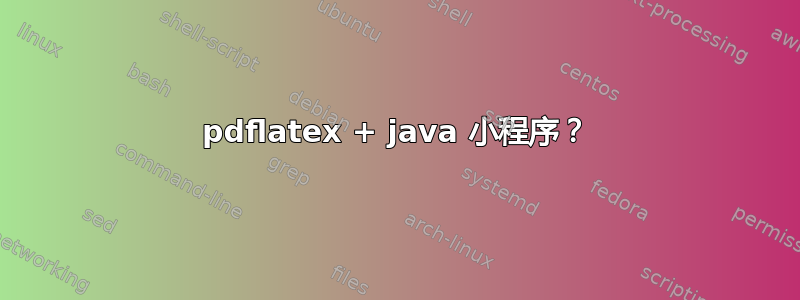 pdflatex + java 小程序？