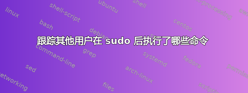 跟踪其他用户在 sudo 后执行了哪些命令