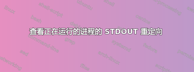 查看正在运行的进程的 STDOUT 重定向