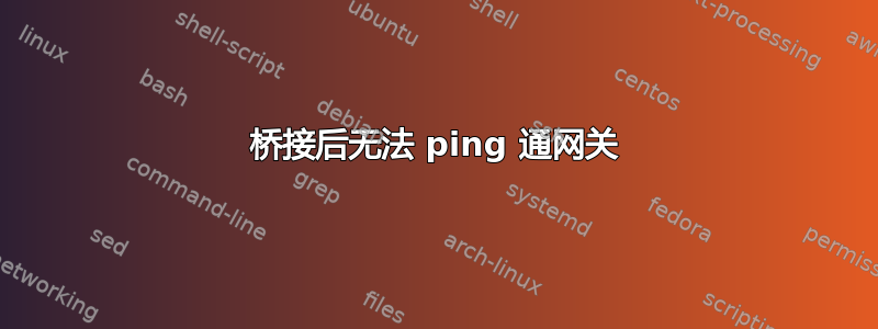 桥接后无法 ping 通网关