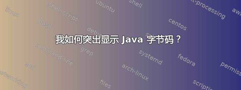 我如何突出显示 Java 字节码？