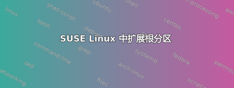 SUSE Linux 中扩展根分区