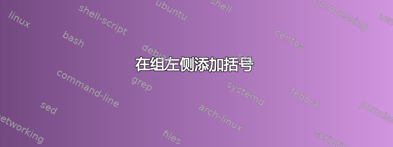 在组左侧添加括号