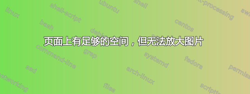 页面上有足够的空间，但无法放大图片