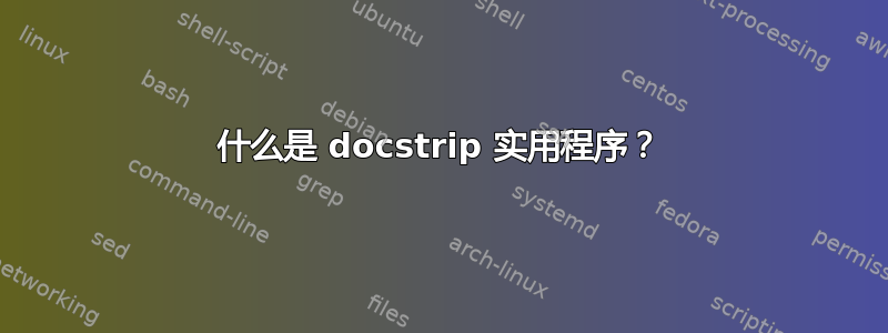 什么是 docstrip 实用程序？