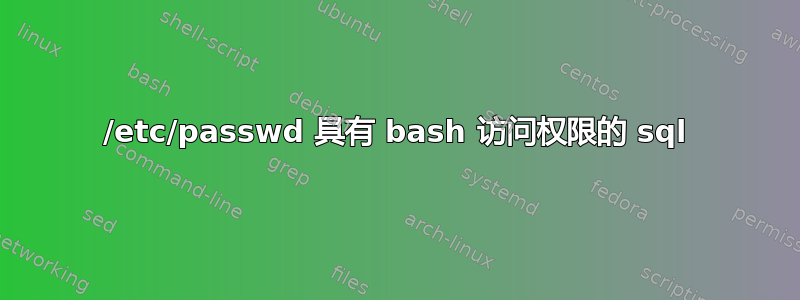 /etc/passwd 具有 bash 访问权限的 sql