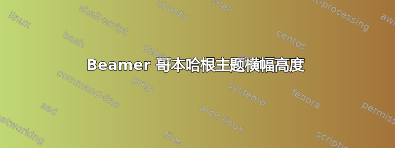 Beamer 哥本哈根主题横幅高度