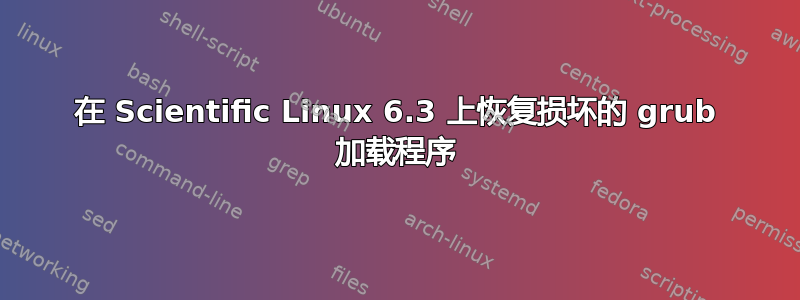 在 Scientific Linux 6.3 上恢复损坏的 grub 加载程序