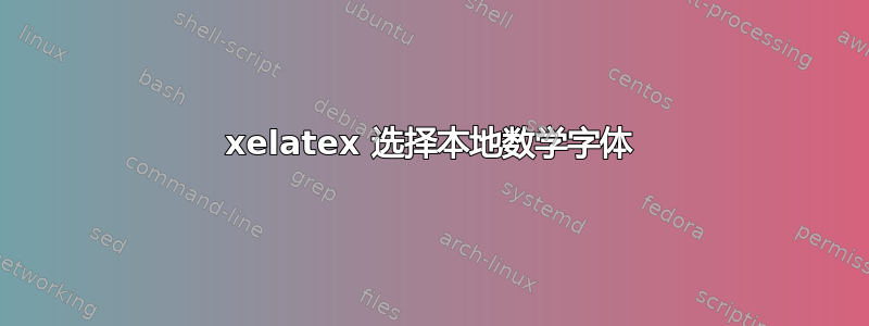 xelatex 选择本地数学字体