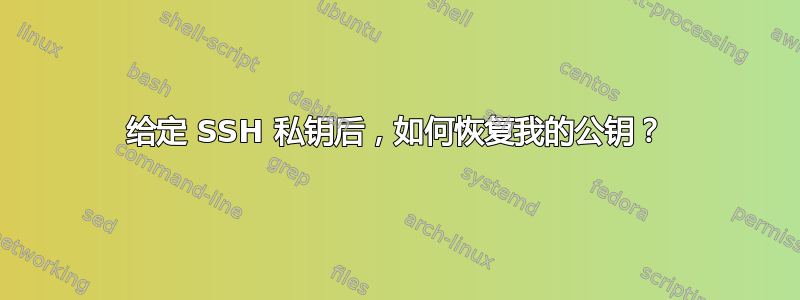 给定 SSH 私钥后，如何恢复我的公钥？