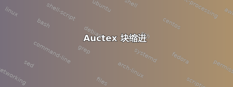 Auctex 块缩进