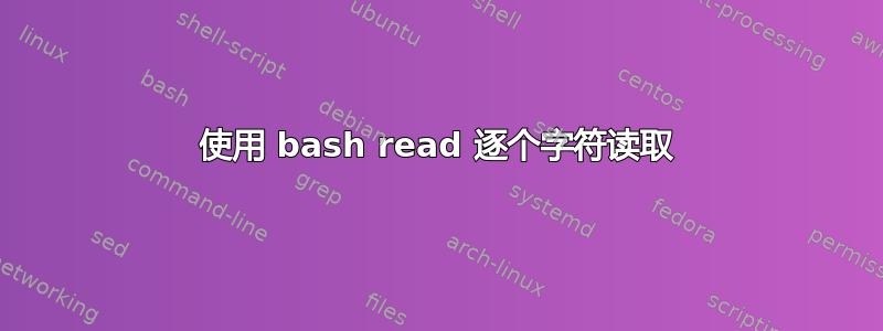 使用 bash read 逐个字符读取