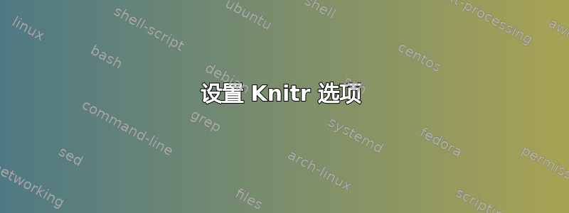 设置 Knitr 选项