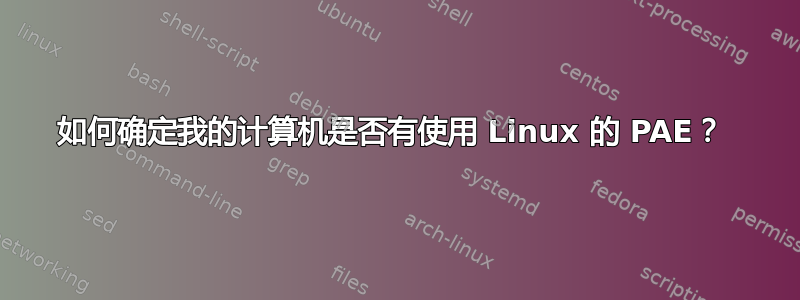 如何确定我的计算机是否有使用 Linux 的 PAE？ 