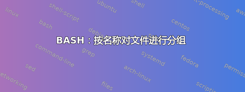 BASH：按名称对文件进行分组