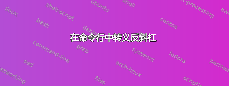 在命令行中转义反斜杠