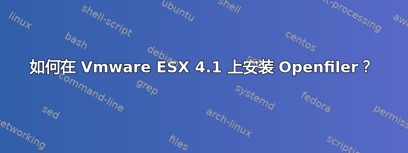 如何在 Vmware ESX 4.1 上安装 Openfiler？