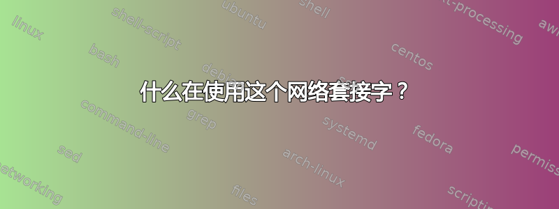 什么在使用这个网络套接字？