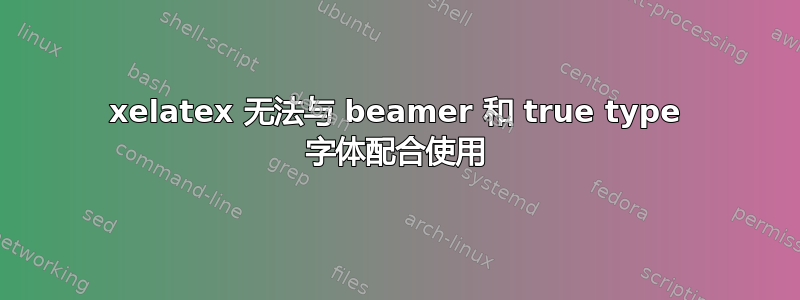 xelatex 无法与 beamer 和 true type 字体配合使用