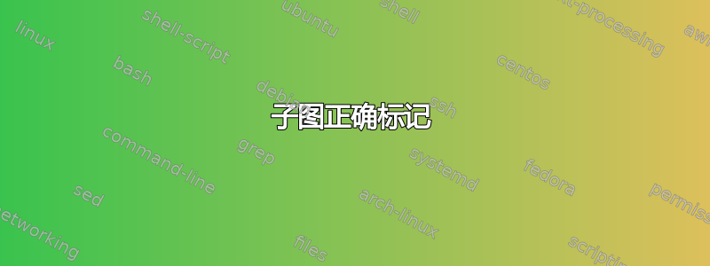 子图正确标记