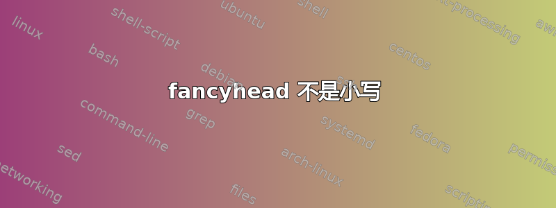 fancyhead 不是小写