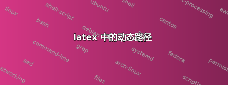 latex 中的动态路径