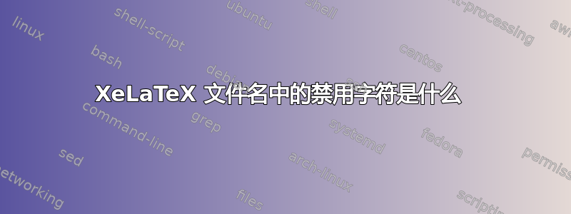 XeLaTeX 文件名中的禁用字符是什么 