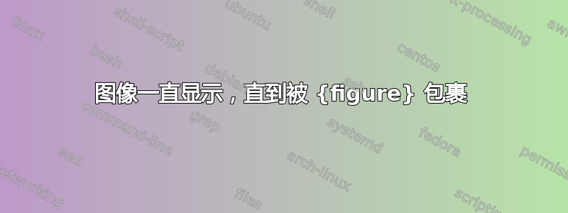 图像一直显示，直到被 {figure} 包裹