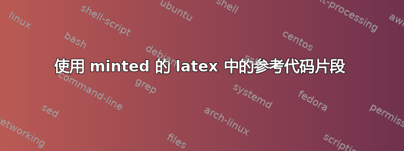 使用 minted 的 latex 中的参考代码片段