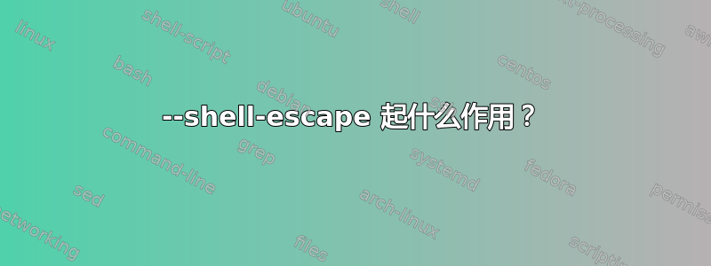 --shell-escape 起什么作用？