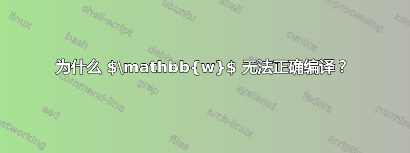 为什么 $\mathbb{w}$ 无法正确编译？