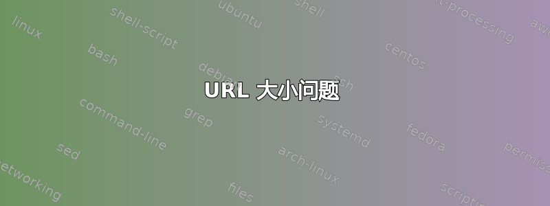 URL 大小问题