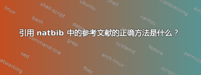 引用 natbib 中的参考文献的正确方法是什么？