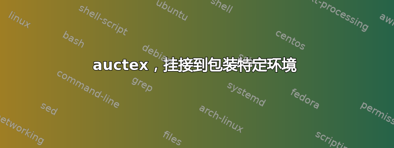 auctex，挂接到包装特定环境