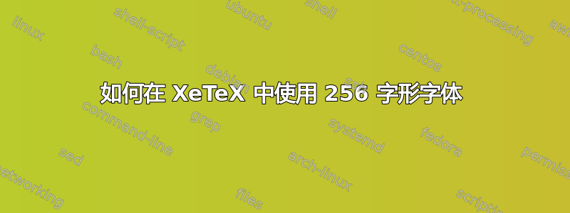 如何在 XeTeX 中使用 256 字形字体